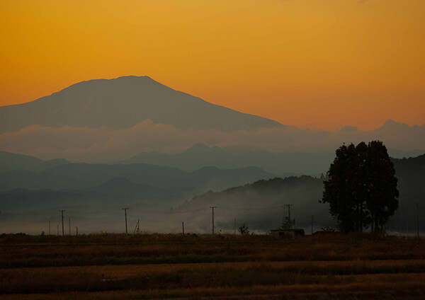 サムネイル画像10