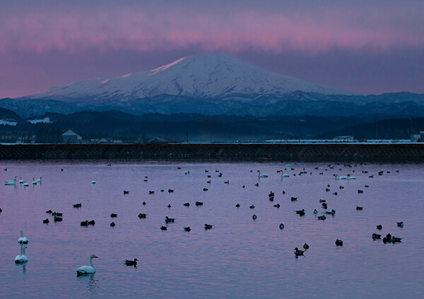 サムネイル画像11