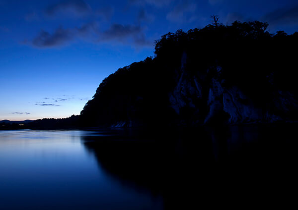 サムネイル画像12