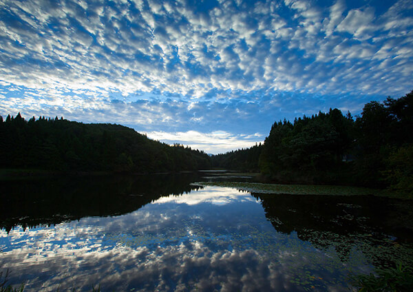 サムネイル画像13