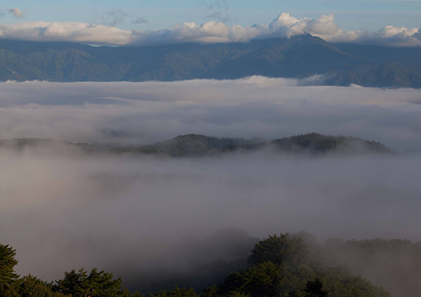 サムネイル画像14