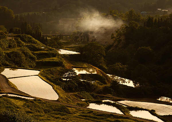サムネイル画像15