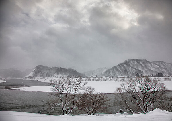 サムネイル画像17