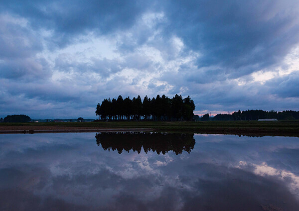 サムネイル画像19