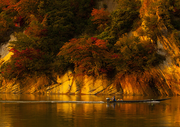 サムネイル画像2