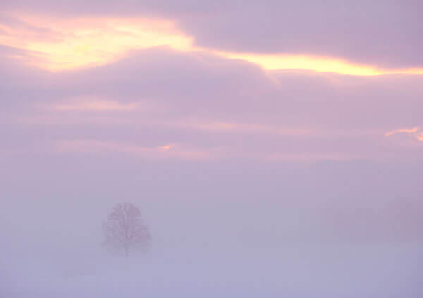 サムネイル画像21