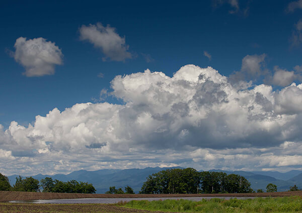サムネイル画像23