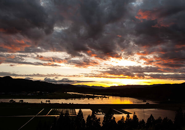 サムネイル画像24