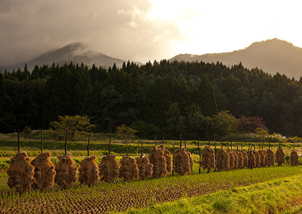 サムネイル画像3