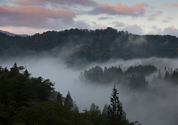 サムネイル画像5