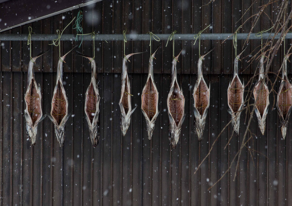 サムネイル画像23