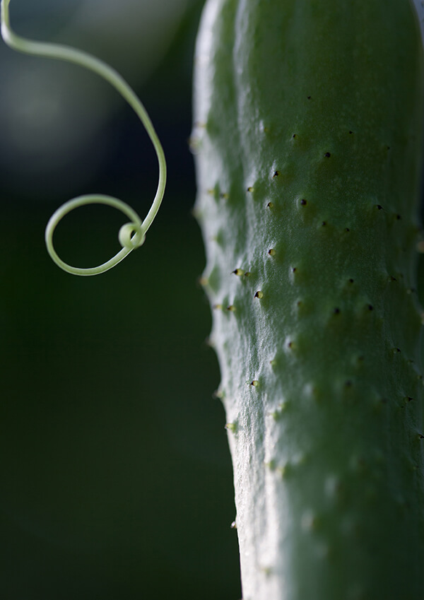 サムネイル画像26