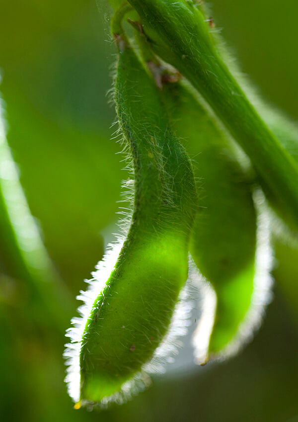 サムネイル画像27