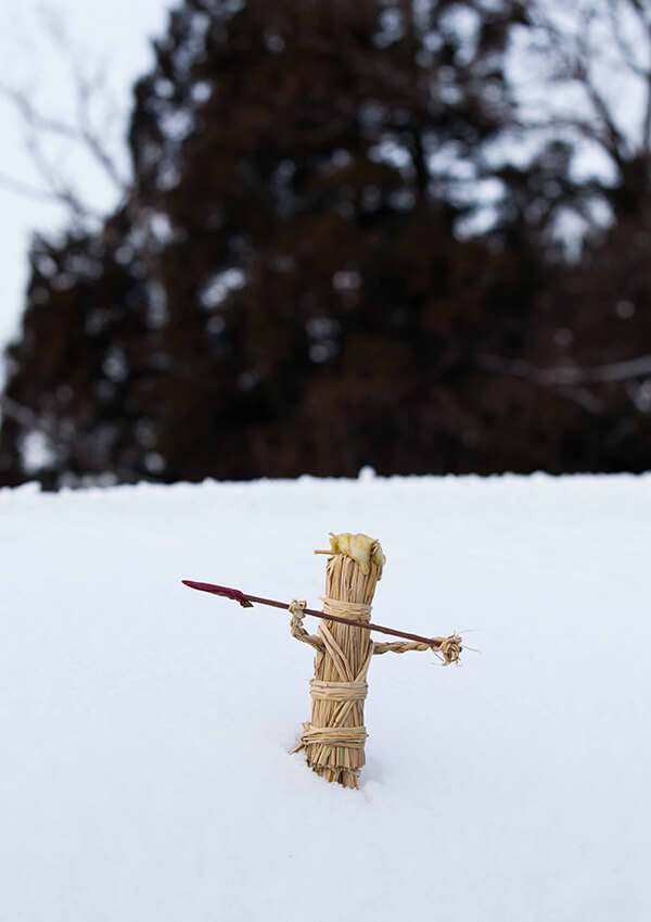 サムネイル画像29