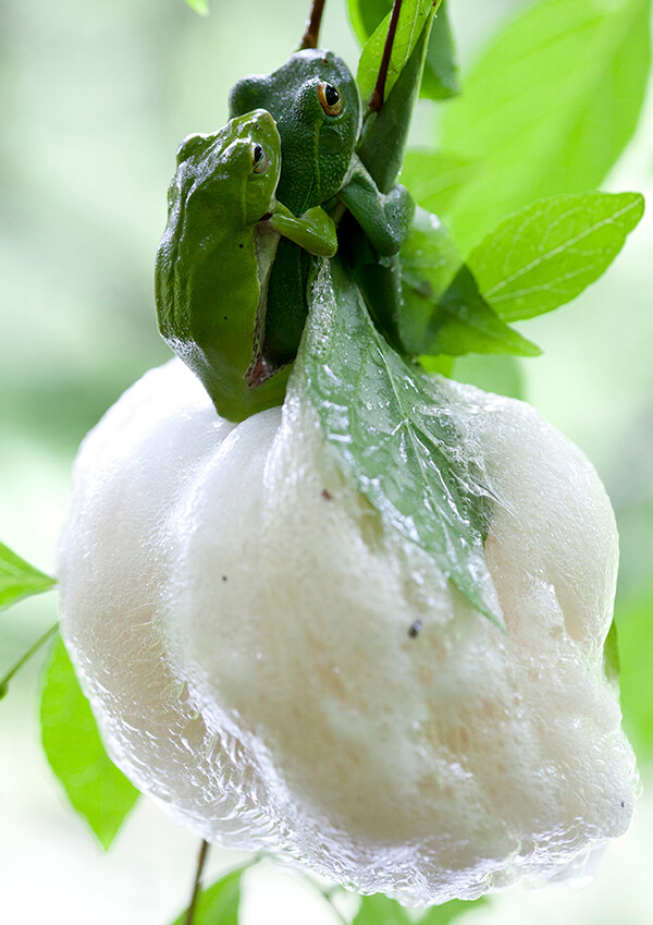 サムネイル画像32