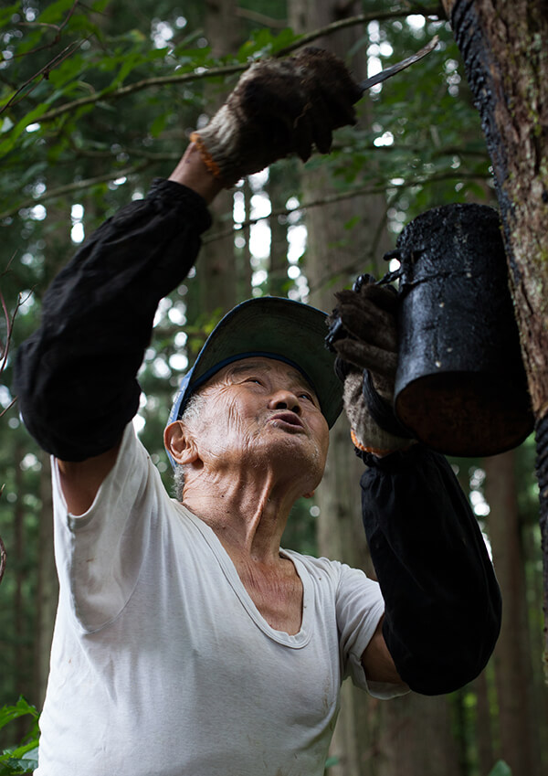 サムネイル画像4