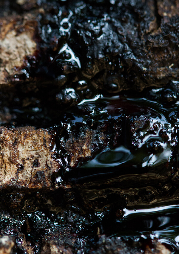 サムネイル画像5