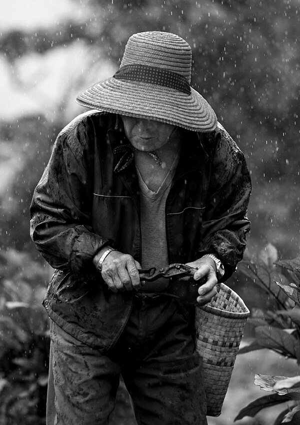 サムネイル画像8